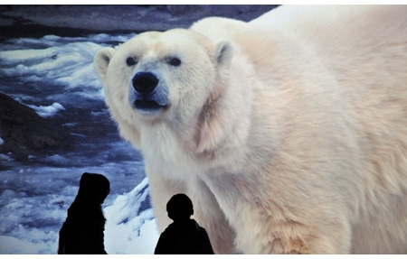 20100112sony_bld.jpg ソニービル・沖縄美ら海水族館や旭山動物園の映像作品