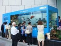 20080724okinawa_ginza_sony.jpg　沖縄美ら海水族館が銀座ソニービルにやってきた