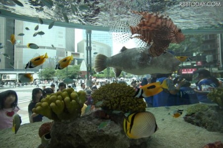 2011sony_bill_水族館.jpg　ソニービルの沖縄水族館と３Ｄ映像